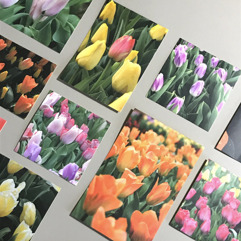 Tulip Sticker Pack