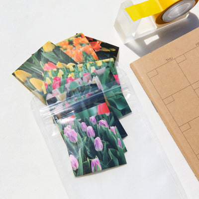 Tulip Sticker Pack