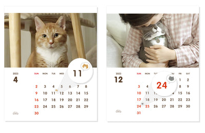 5匹の猫(オモンポンヒュヨ) 2023 卓上カレンダー