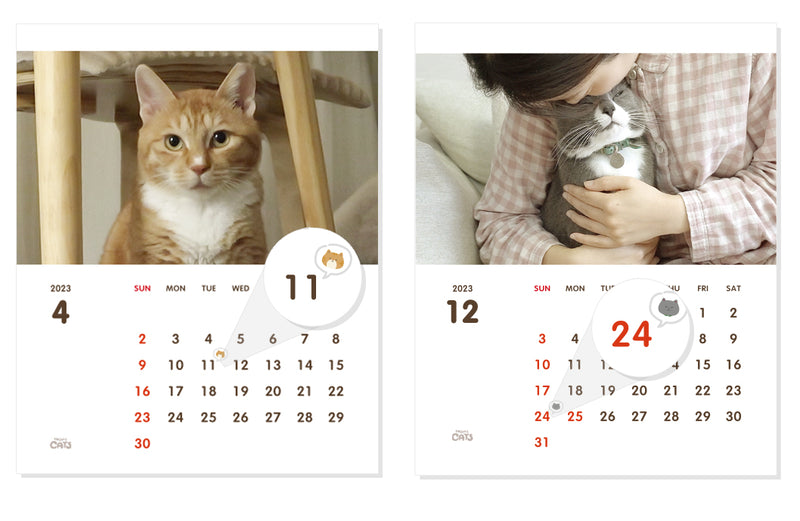 5 Cats (Omonponhyo) 2023 Desktop Calendar