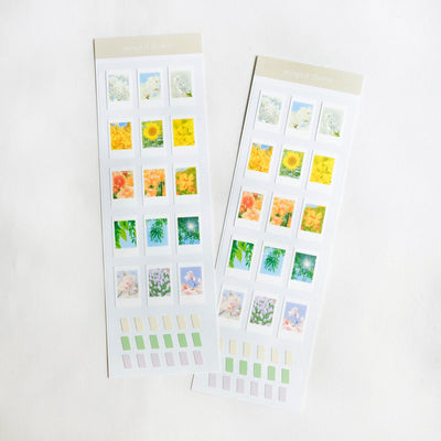 Polaroid Stickers All in One Set