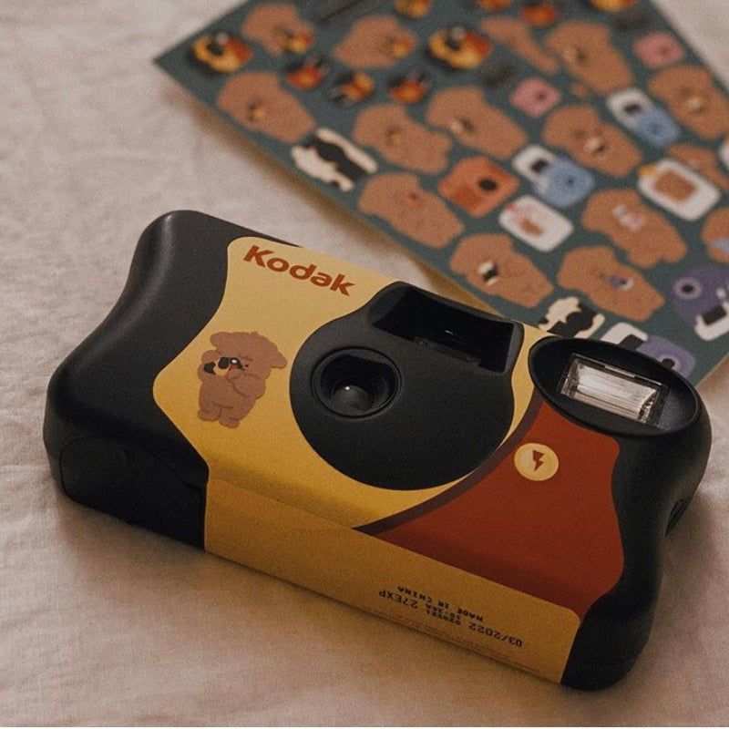 camera sticker