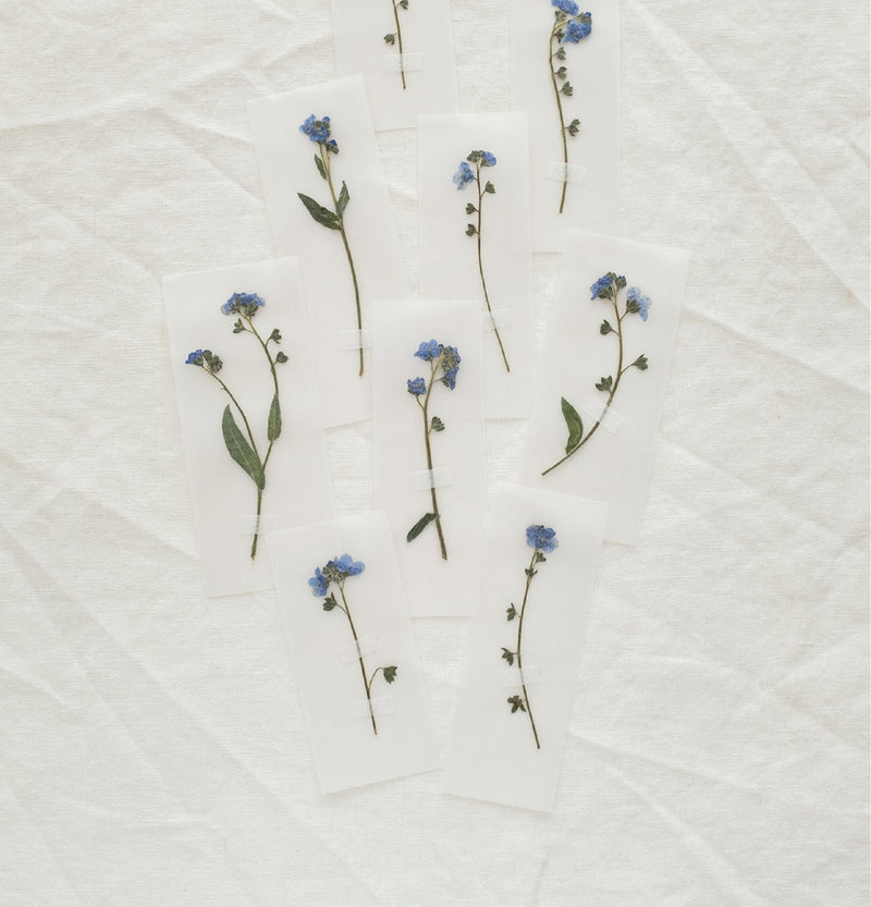FORGET ME NOT PAPER PACK