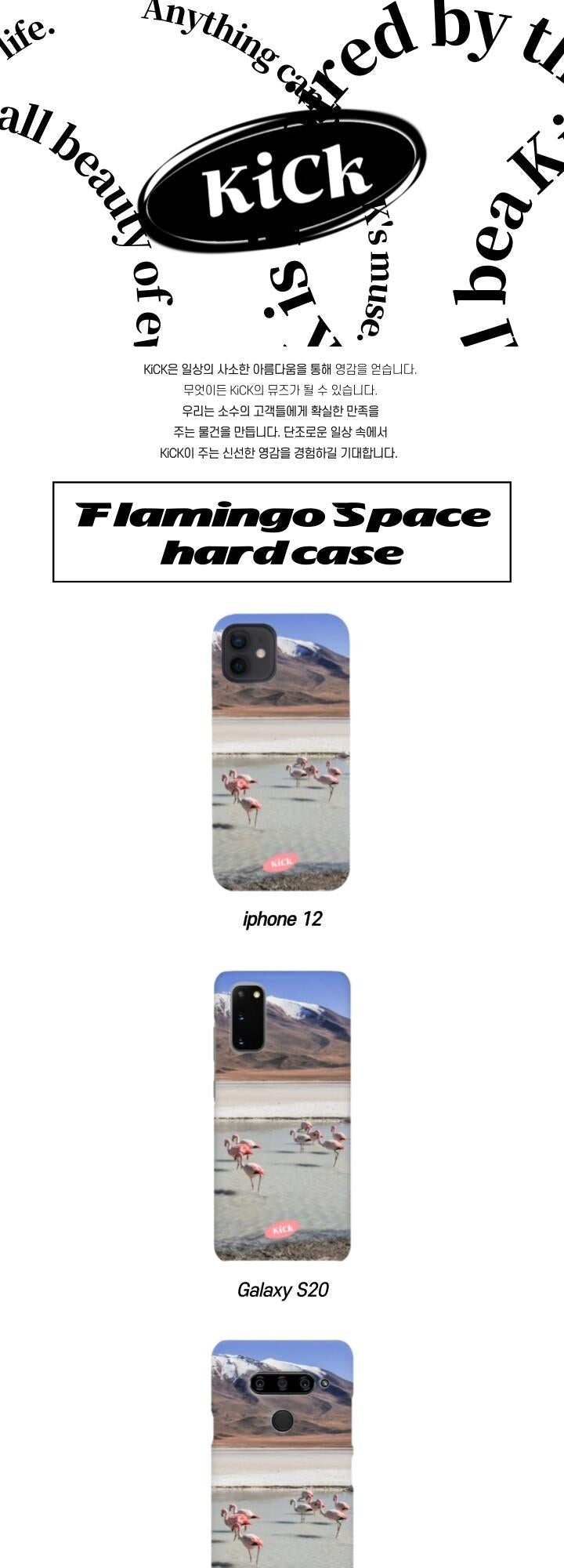 Flamingo Space Hard Case