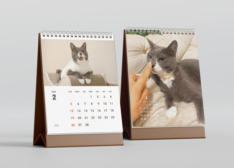 5 Cats (Omonponhyo) 2023 Desktop Calendar