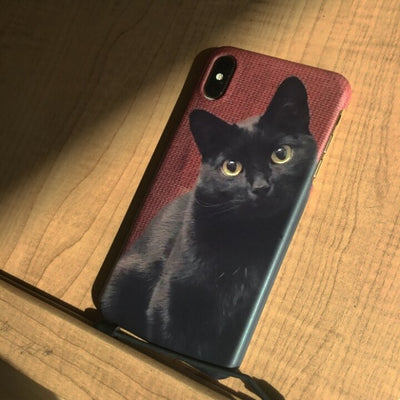Black Cat Hard Case