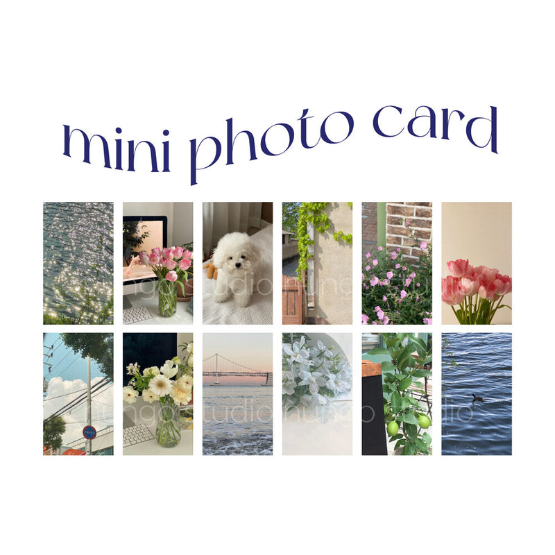 Mini Photo Card Set