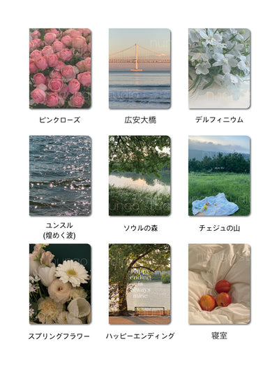 iPad case 9types