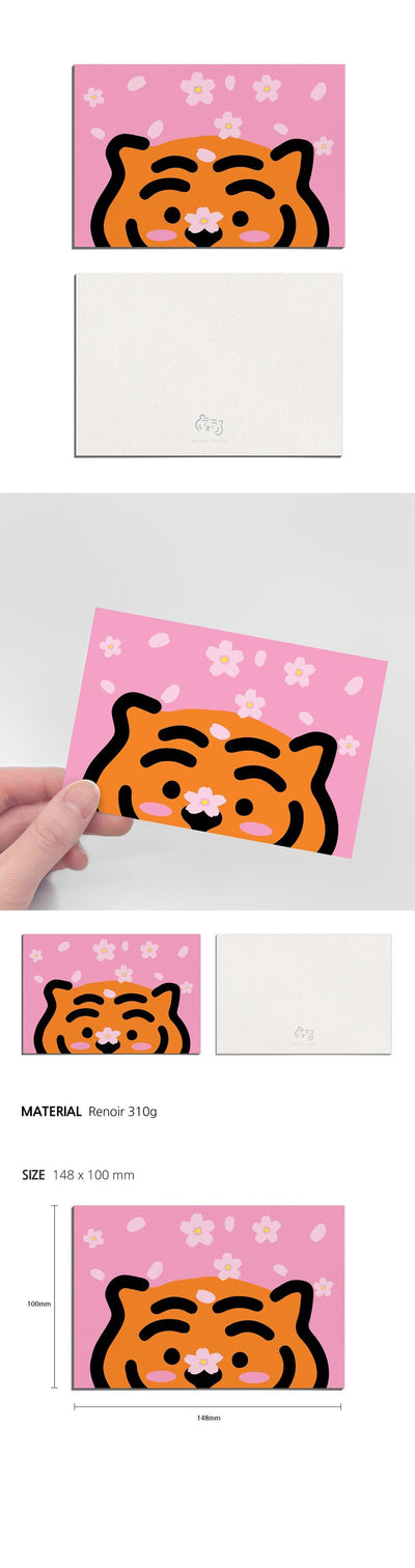 Cherry Blossoms Tiger Postcard